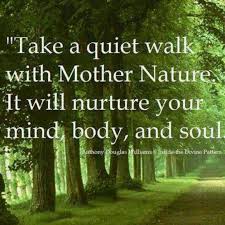Take a quiet walk with Mother Nature. It will nurture your mind ... via Relatably.com