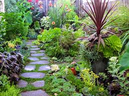 Image result for gardening