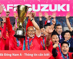 Hình ảnh về Giải bóng đá Đông Nam Á (AFF Cup)