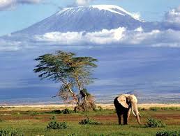 Image result for tanzania