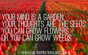 Growing A Garden Quotes. QuotesGram via Relatably.com