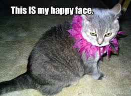Happy Cat memes | quickmeme via Relatably.com