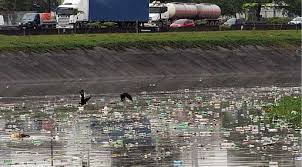 Resultado de imagem para boas imagens da problemas ambientais do brasil