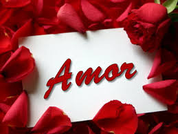 Image result for amor