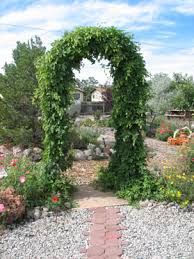 Image result for trellis arch
