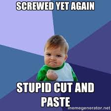 Screwed Yet Again Stupid Cut and Paste - Success Kid | Meme Generator via Relatably.com