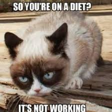 Grumpy Cat on Pinterest | Grumpy Cat Meme, Meme and Funny Cats via Relatably.com