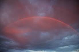 Image result for Red rainbows/pics