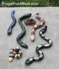 Image result for snakes