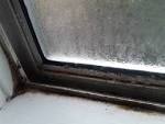 How To Remove Mold From A Window Sill (Without Harmful)