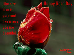 http://whatsappprofile.blogspot.in/2016/01/rose-day-sms-for-whatsapp-in-hindi-and.html