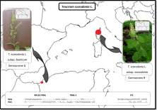 Chemical and genetic differentiation of two Mediterranean ...