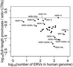 The Exaptation of HERV-H: Evolutionary Analyses Reveal ... - Frontiers