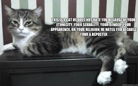 Bossy Cat memes | quickmeme via Relatably.com