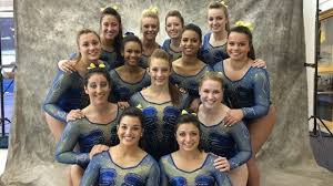 Image result for mich big ten champs gymnastics women 2015