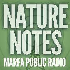 Nature Notes from Marfa Public Radio