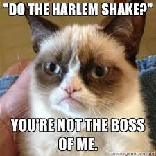 The Life Span of a Meme: Harlem Shake | Automatic Improv via Relatably.com