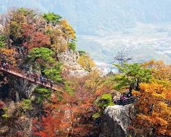 충남 대둔산도립공원 풍경, AI로 생성