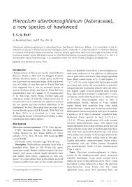 (PDF) Hieracium attenboroughianum (Asteraceae), a new species of ...