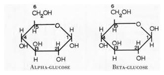 Image result for alpha glucose and beta glucose