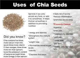 Image result for chia seeds