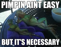 pimpin aint easy but it&#39;s necessary - The Most Interesting Geckos ... via Relatably.com