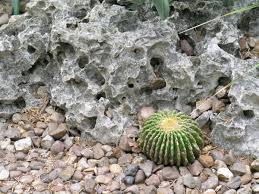 Image result for rocks and barren place