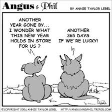 Image result for new year funnies