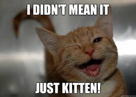 Winking kitten memes | quickmeme via Relatably.com