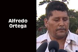 Alfredo Ortega, PUP Orange Walk North aspirant, detained by police - Alfredo-Ortega-copy1-500x333