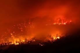 Image result for tasmania bushfire