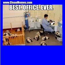 Best Office Ever | Clean Memes – The Best The Most Online via Relatably.com