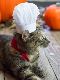 Image result for cats in chefs hat