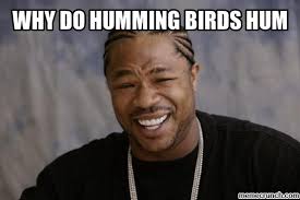 why do humming birds hum via Relatably.com