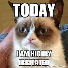 Today I am highly irritated - Grumpy Cat | Meme Generator via Relatably.com