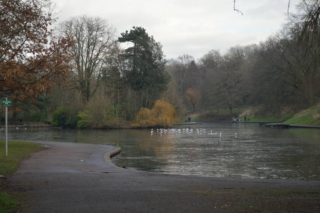 Eastville Park with fishing, sports and playground