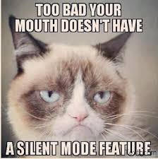 Too Bad Your Mouth Doesn&#39;t Have a Silent Mode Feature | The Memes ... via Relatably.com