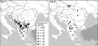 Distribution of Alchemilla gorcensis according to Kurtto et al. (2007 ...