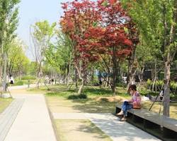 서울 마포구 연남동 경의선 숲길, AI로 생성