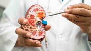 "Protect Your Kidneys: Take These 5 Tests to Catch Early Signs of Diseases"