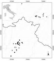 423-429 Gestri et al - Bellevalia webbiana in Toscana e aree ...