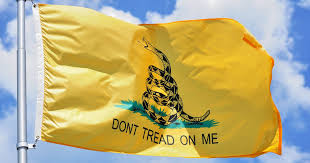 Image result for trump american gadsden flags pics