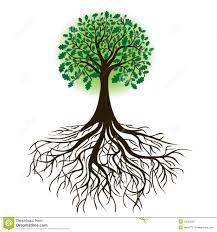 Image result for tree roots