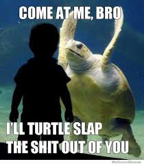 Come At Me Bro Ill Turtle Slap The Shit Out Of You | WeKnowMemes via Relatably.com