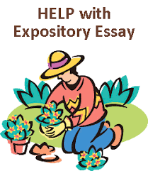 http://www.time4writing.com/writing-resources/expository-essay/