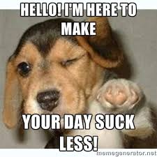 Hello! I&#39;m here to make Your Day suck less! - fist bump puppy ... via Relatably.com