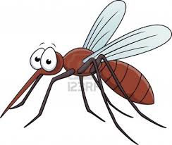 Inilah Fakta Besar Di Balik Kecilnya Nyamuk 