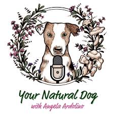 Your Natural Dog with Angela Ardolino - Formerly It's A Dog's Life