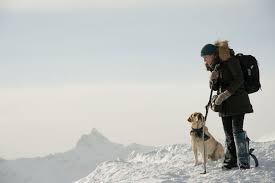 Image result for the mountain between us