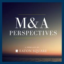 M&A Perspectives